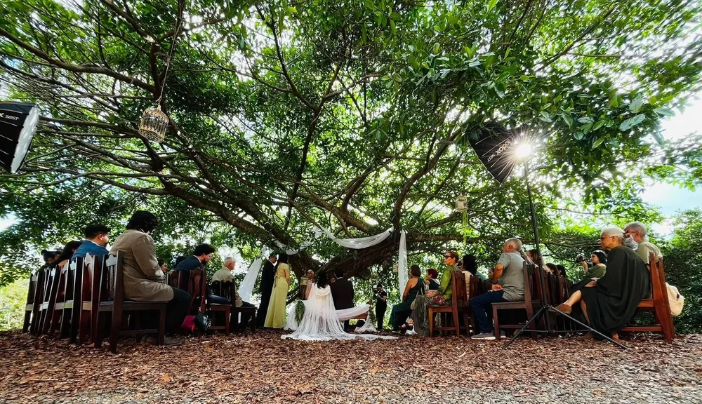 Ceremonia de boda al aire libre entre árboles