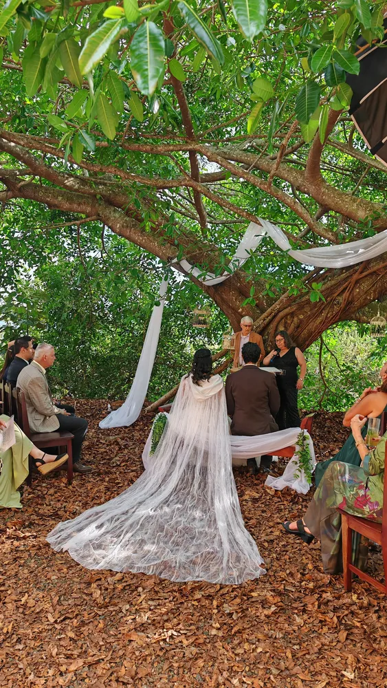 Ceremonia de boda bajo un árbol